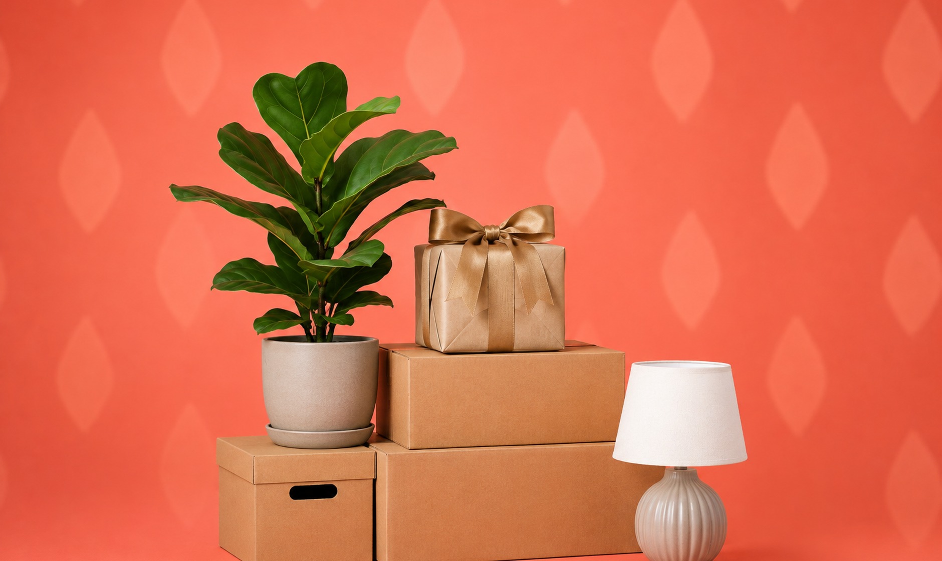 Moving boxes, a fiddle-leaf fig, a wrapped gift and a small lamp on a coral background